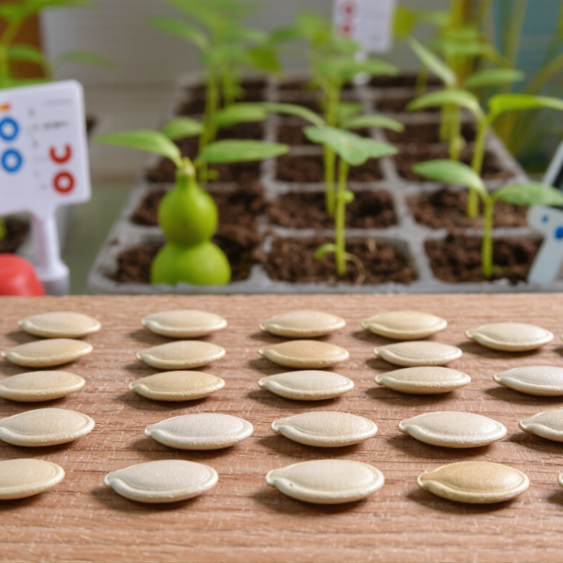 What Are the Best China Bottle Gourd Seeds for Wholesale?