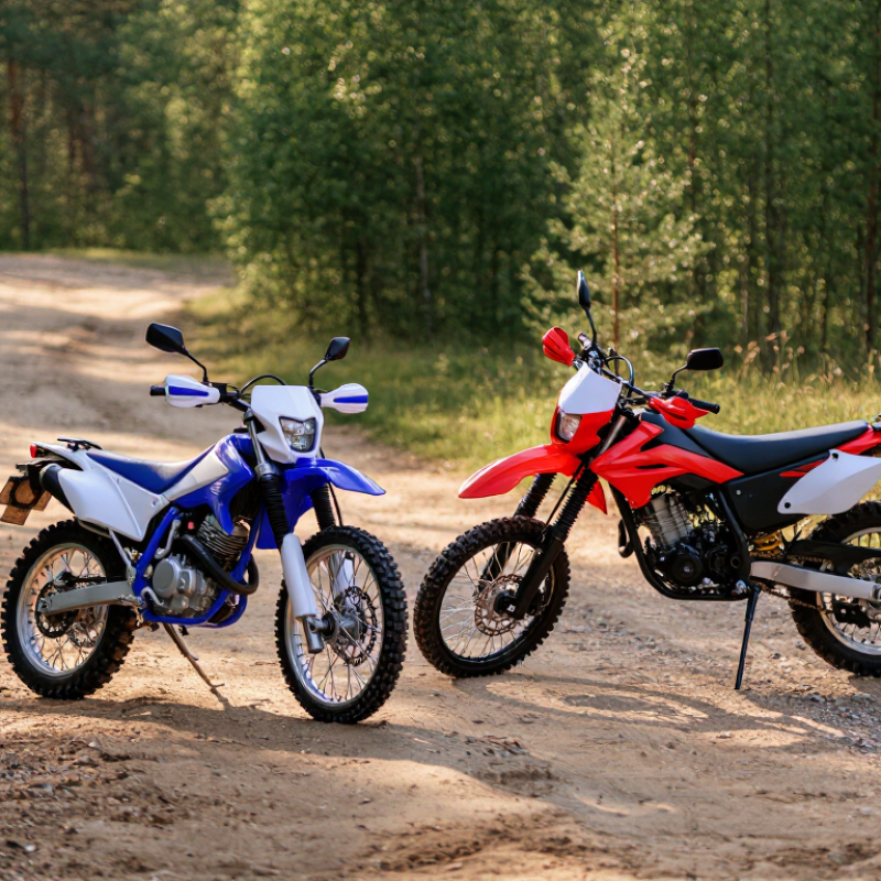 How to Choose the Best Trail Motorcycle?