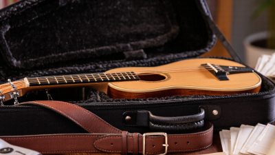 What Are Autoharp Accessories and Which Ones Do You Need?