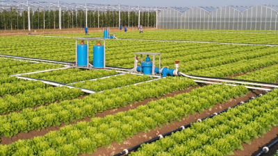 China Best Commercial Drip Irrigation Manufacturers?