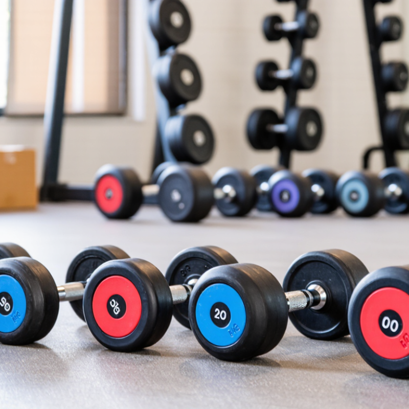 Best Gym Dumbbells in China for Global Buyers