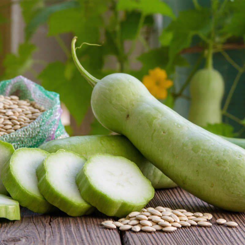 Why Choose Bottle Gourd Seeds for Global Sourcing?