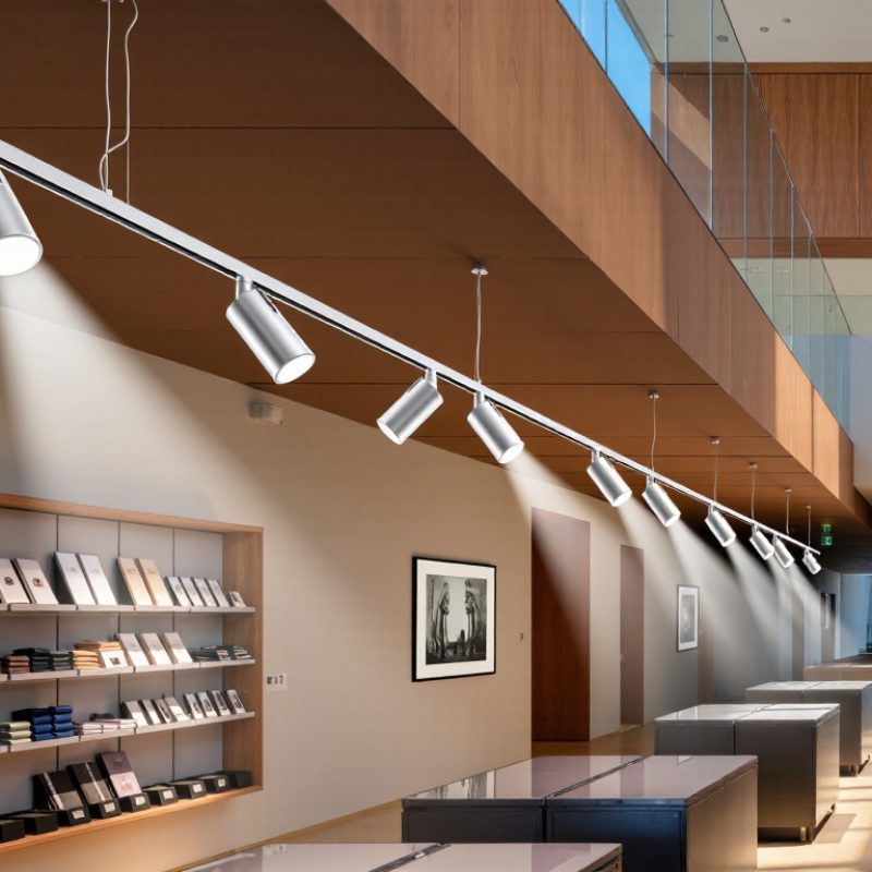 Why Choose LED Rail Lights for Global Projects?
