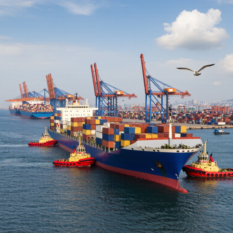Why Choose Sea Freight Shipping for Global Sourcing?