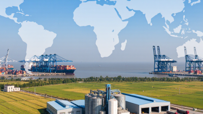 2026 Best Wholesale Fertilizer Suppliers for Global Buyers