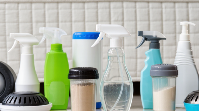Top 10 Best Bed Bug Killers for Global Buyers