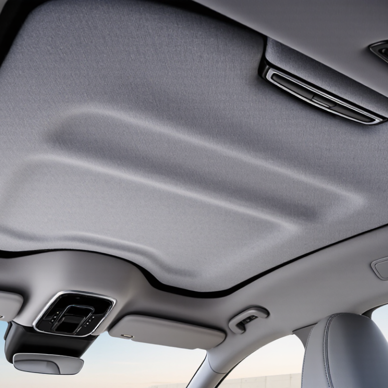 China Top 10 Car Interior Roof Mat Suppliers?