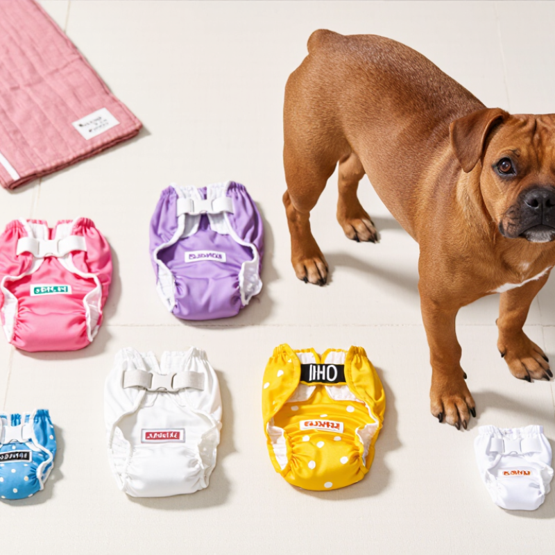 10 Best Female Dog Nappies for Comfort and Leak Protection?