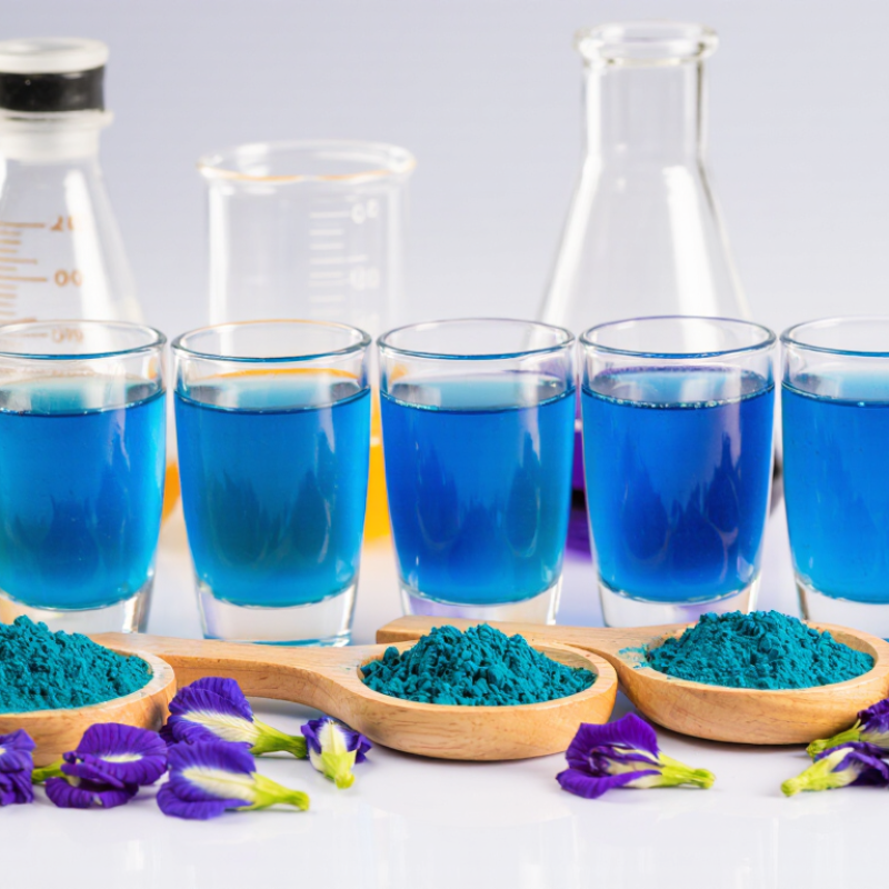 7 Best Butterfly Pea Powder Suppliers for Global Buyers