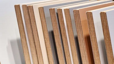 Top Plastic Laminated Plywood Manufacturers Worldwide
