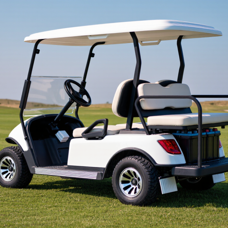 2026 Best Golf Cart Weight Balance Guide for Global Buyers