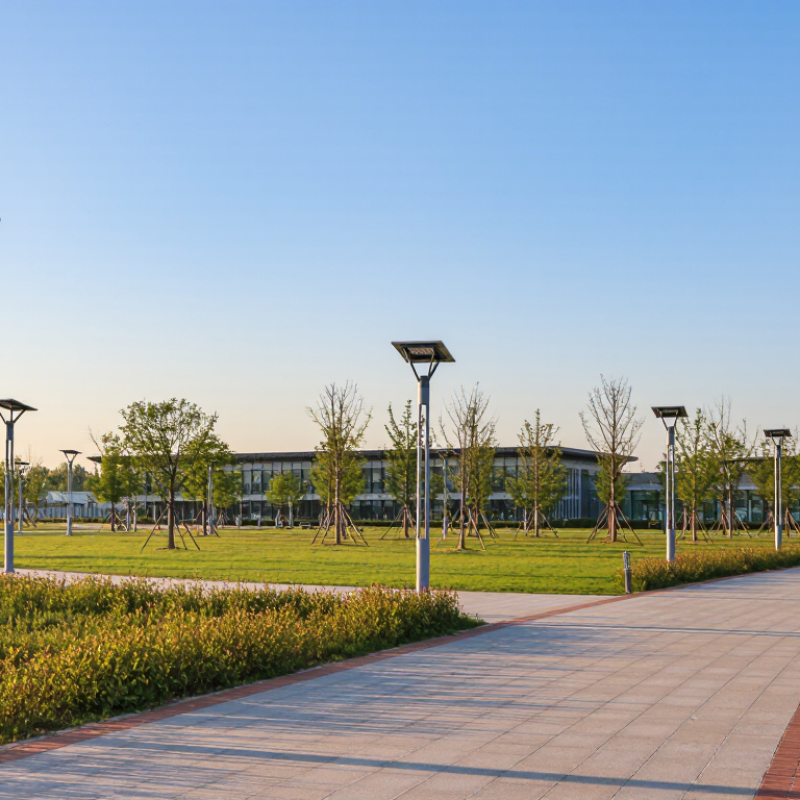 Why Choose Solar Post Top Lights for Global Projects?