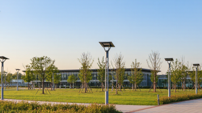 Why Choose Solar Post Top Lights for Global Projects?