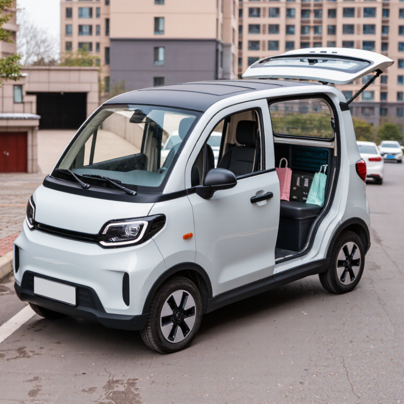 How to Choose the Right Electric Quadricycle?