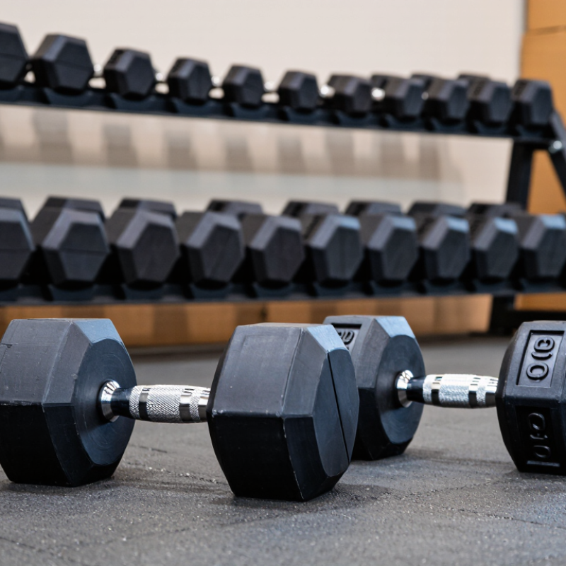 2026 Best Rubber Coated Dumbbell for Wholesale Buyers