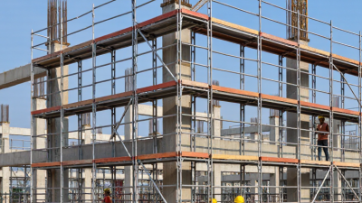 What Is Workhorse Scaffolding and How Does It Work?