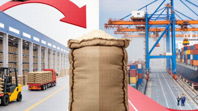 Why Are Bagging Solutions Essential for Global Buyers?