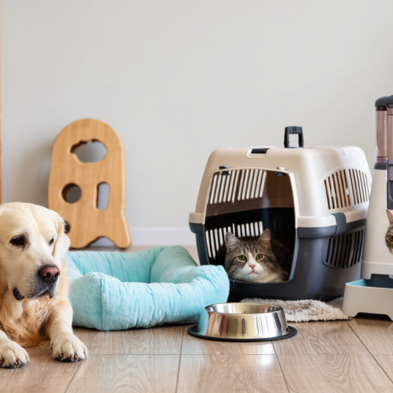 2026 Top Pet Supplies Why Is My Pet Scared of New Supplies?