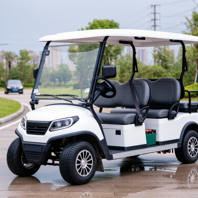 China Best Street Legal Golf Cart Manufacturers