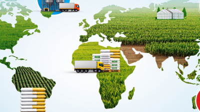 7 Best Calcium Nitrate Fertilizer Suppliers Worldwide?