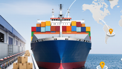 What Is CHUDU and How Can Global Buyers Source It?