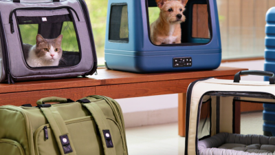 What Are the Best Pet Travel Bags in 2026?