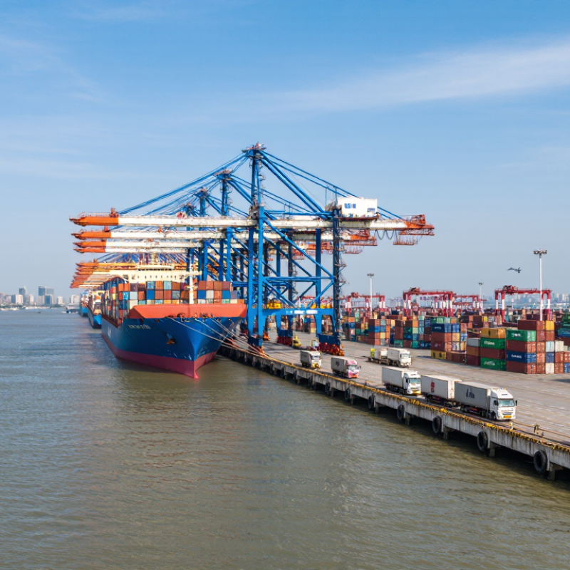 China Best Container Tracking How to Track Your Container?