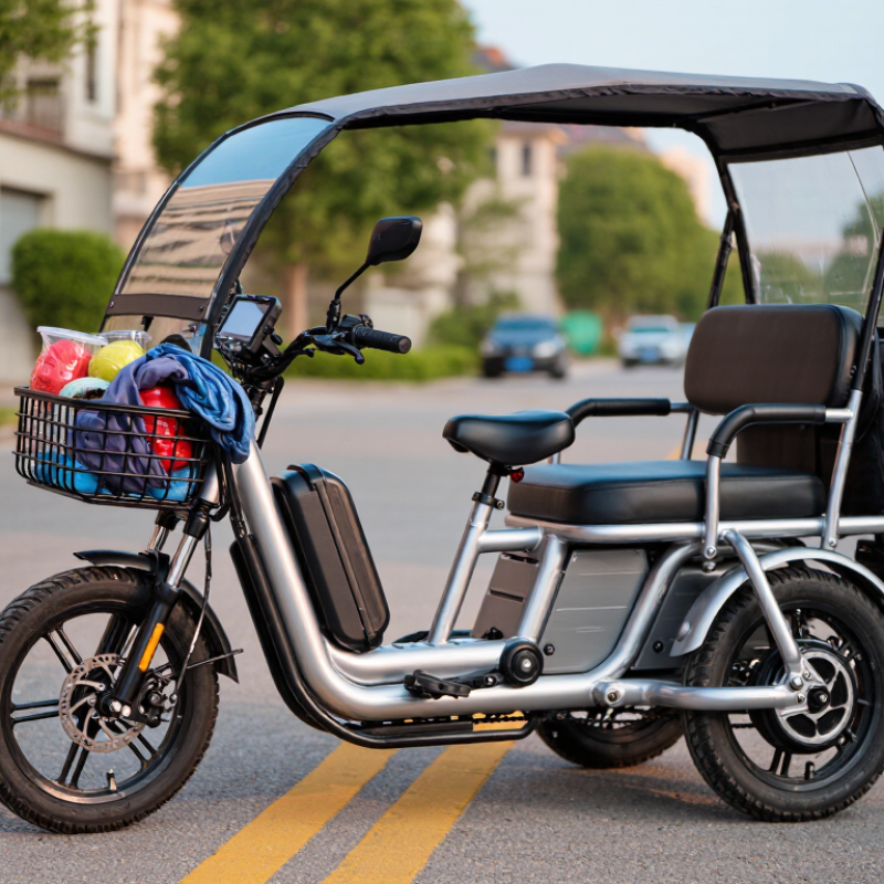How to Choose the Best Quadricycle Bike in 2026?