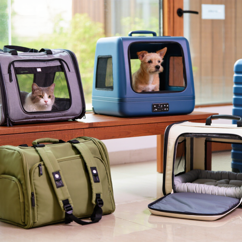 What Are the Best Pet Travel Bags in 2026?