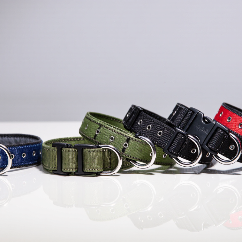 2026 Best Custom Dog Collars for Wholesale Buyers