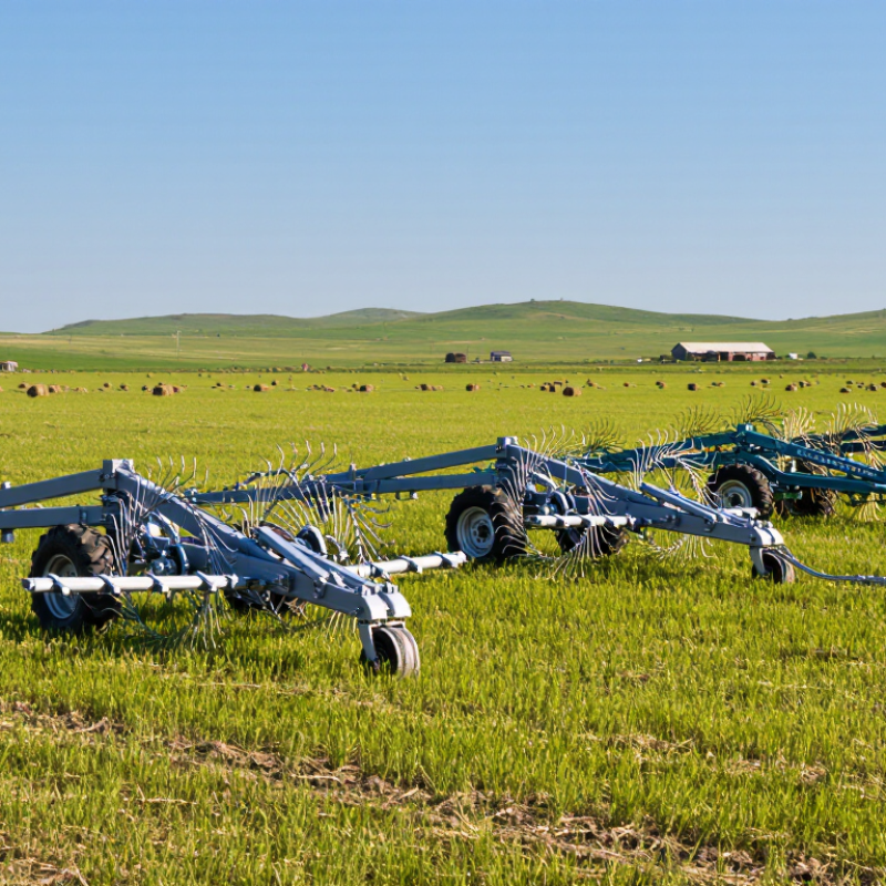 China Top 10 Rake System Manufacturers for Global Buyers