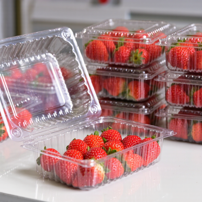 Top Strawberry Clamshell Suppliers for Global Sourcing