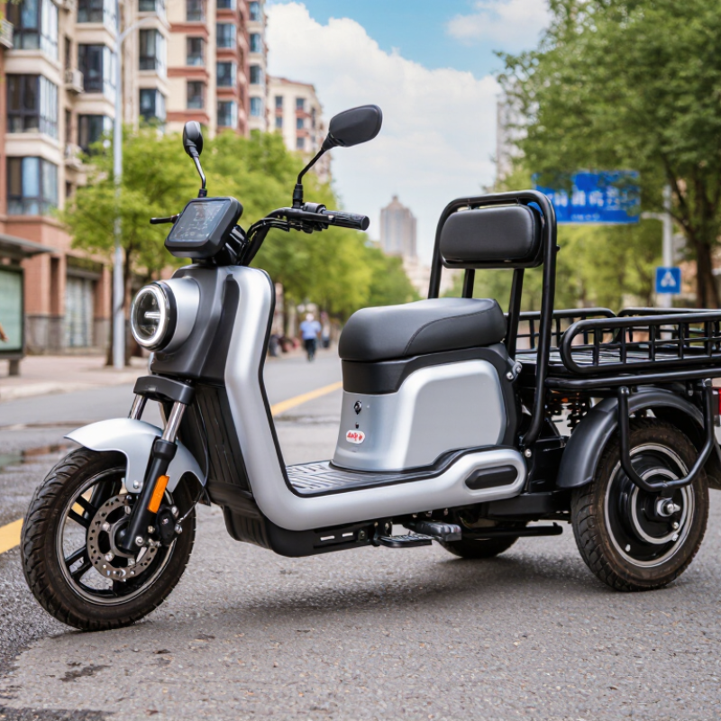 China Best Electric Trike For Commuting Which One to Buy?