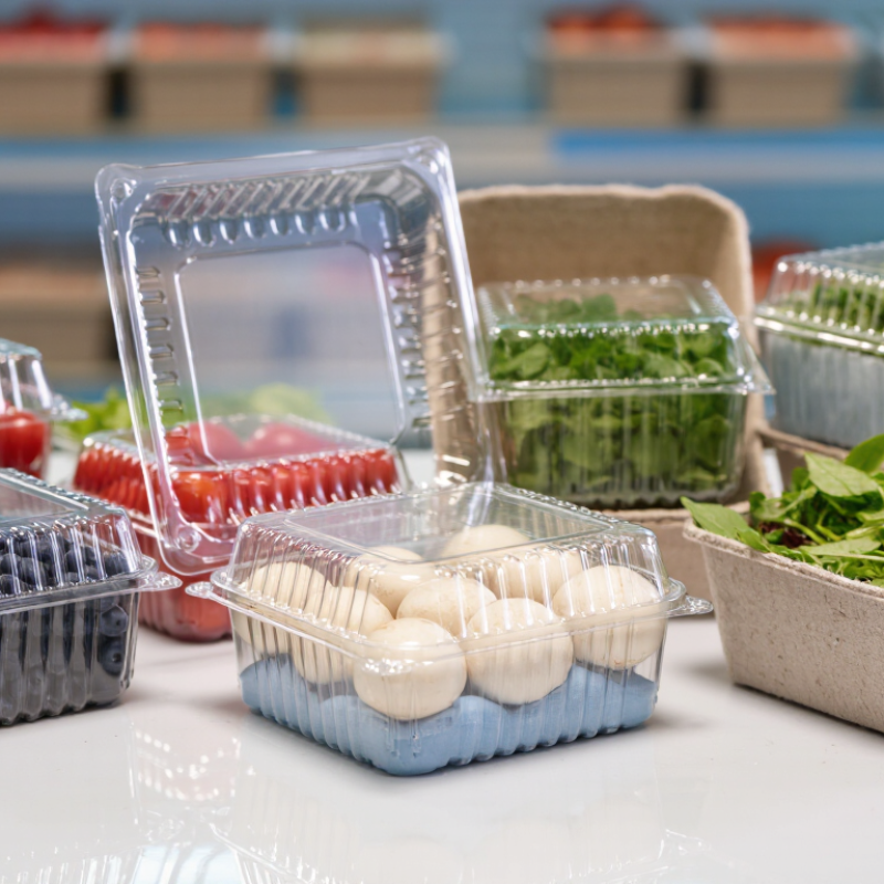 2026 Best Produce Clamshells for Global Buyers