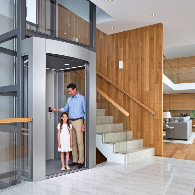 2026 Best Types of Home Elevators for Global Buyers?