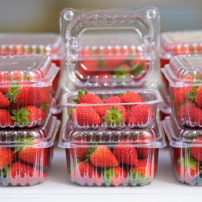 China Top Strawberry Clamshell Supplier for Global Buyers
