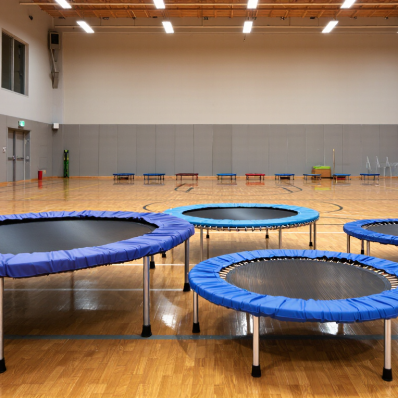 2026 Top Gym Trampoline Manufacturers for Global Buyers