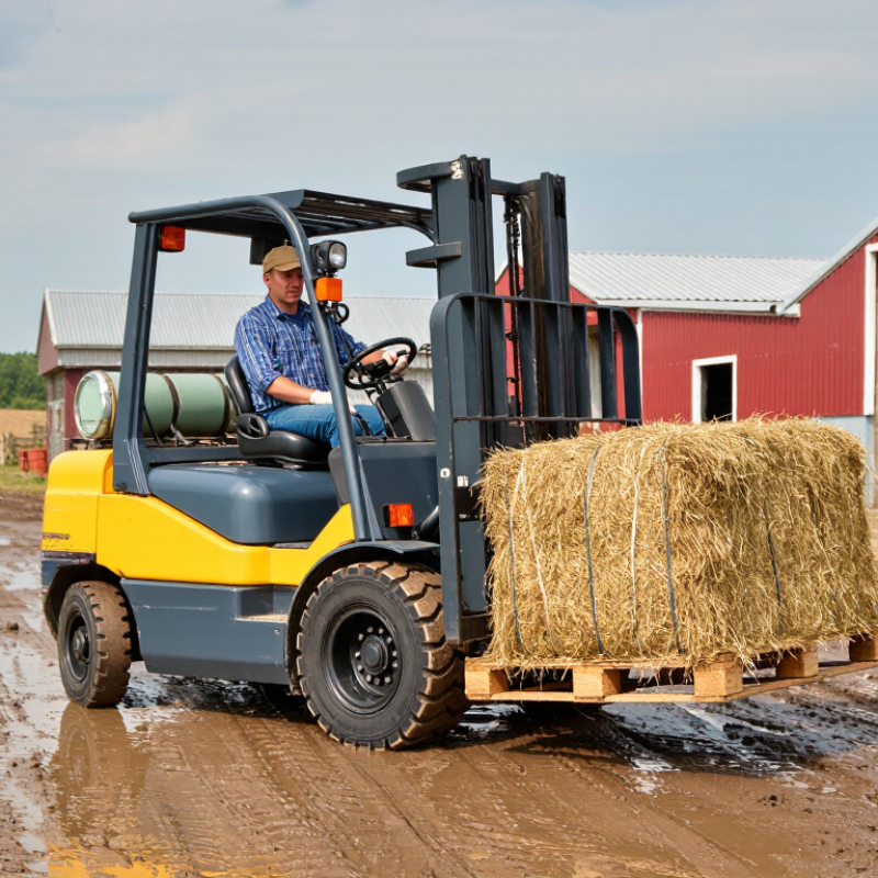 How to Choose the Best Agricultural Forklift?