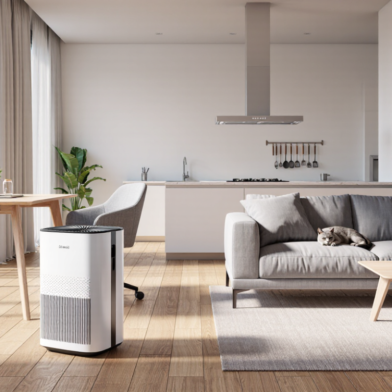 Why Choose an Air Purifier for Home?