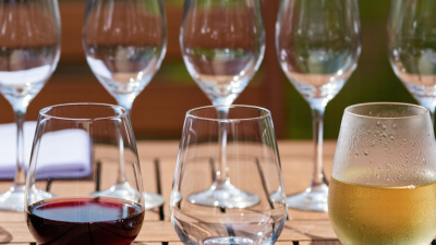 Top 10 Best Glass Wine Tumblers for Global Buyers
