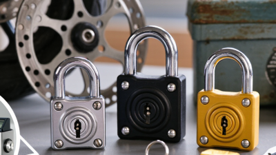 How to Choose the Best Disk Lock for Global Buyers?