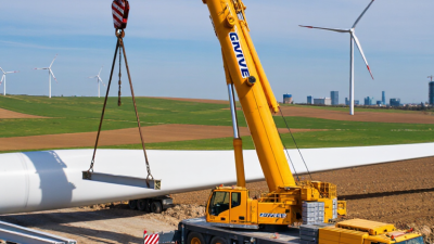 How to Choose the Right Grove Crane for Global Projects?