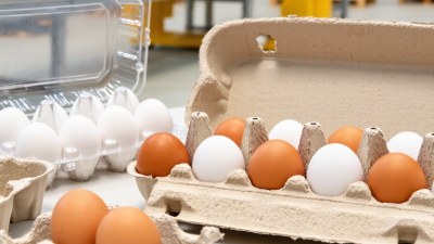 Why Choose Jumbo Egg Cartons for Global Egg Packaging?