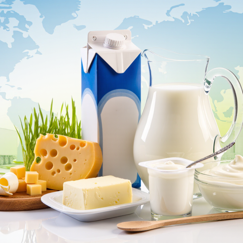 10 Best Dairy Products and Milk Suppliers Worldwide