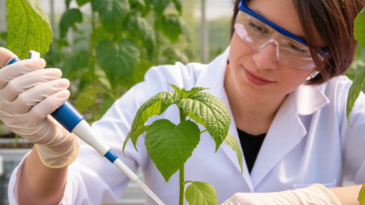 How to Use Gibberellic Acid for Plant Growth