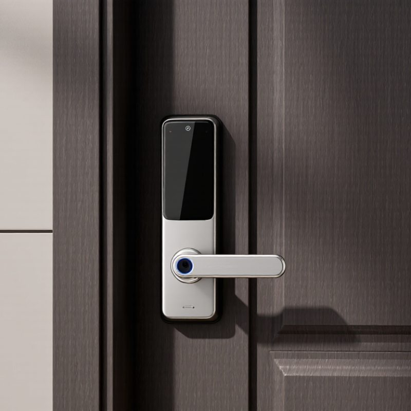 How to Choose Smart Door Locks With Handle?
