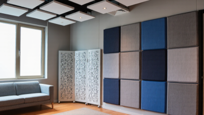 10 Best Acoustic Products for Noise Reduction?