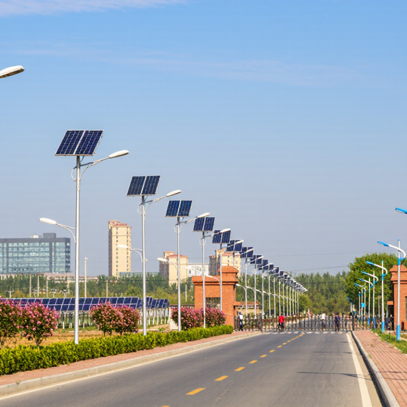 10 Best Solar Street Light Suppliers for Global Buyers
