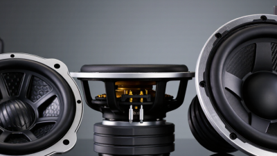 China Best Car Audio Subwoofers for Wholesale Buyers