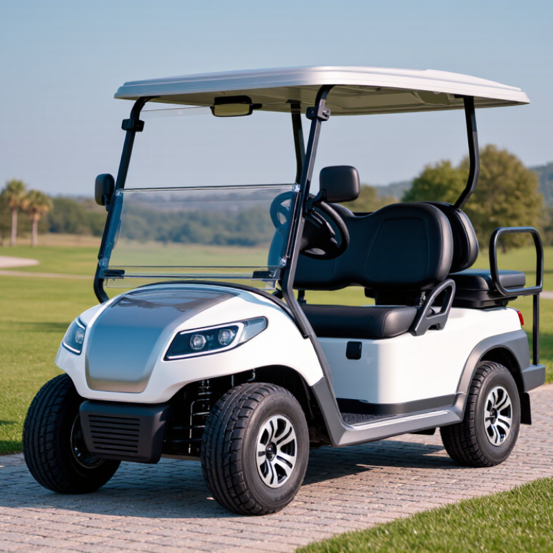 Top Single Golf Cart Manufacturers For Global Buyers?